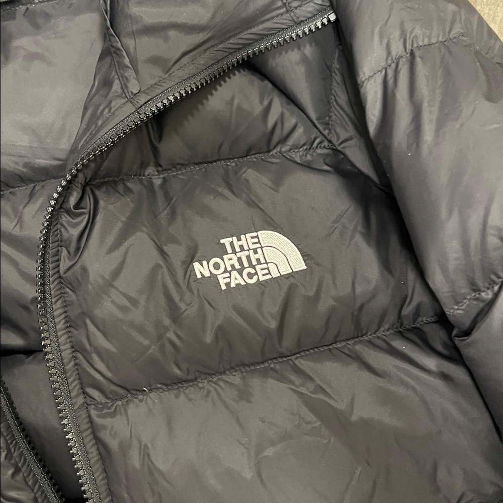 🔥🔥The North Face Hydrenalite Water Repellent 600 Fill Power Down Men's Jacket - Picture 11 of 16